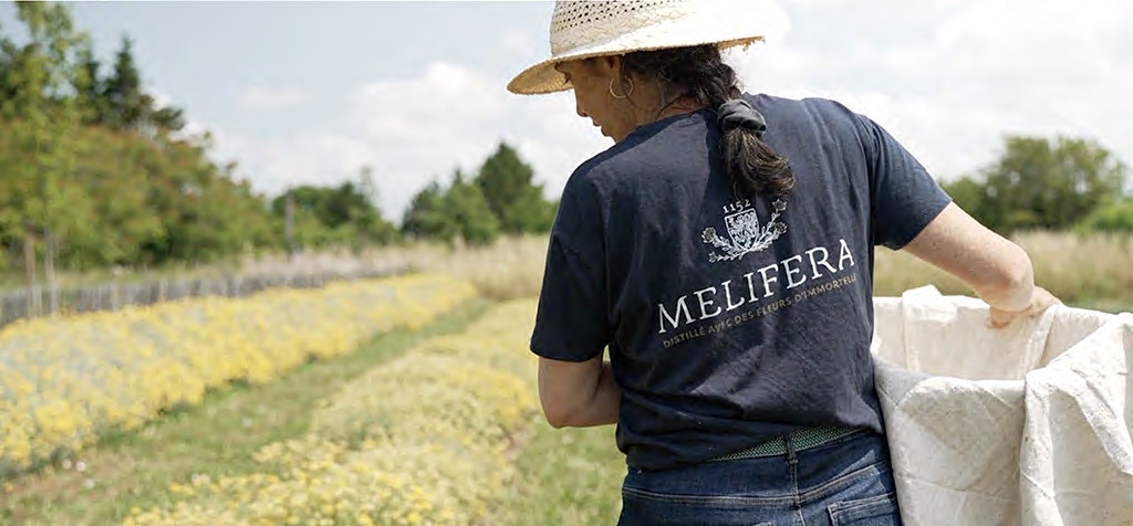 le-jardin-melifera-ethel-recolte