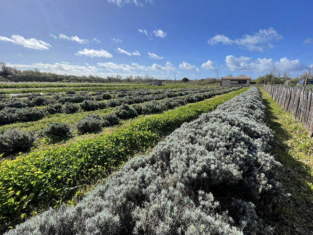 le-jardin-melifera-hiver